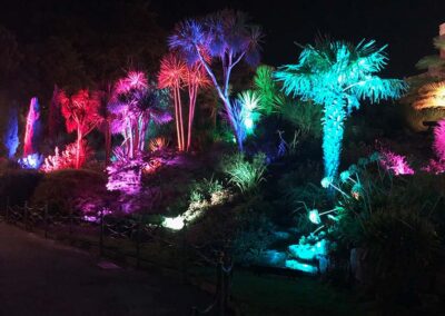 Outdoor lighting effects - Slick Events Ltd, Bournemouth, Dorset